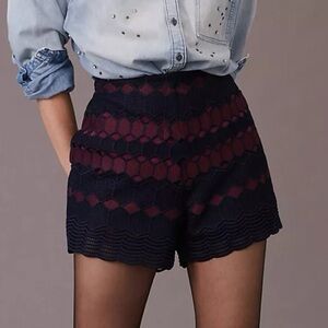 Anthropologie Blue and Pink High Waist Shorts